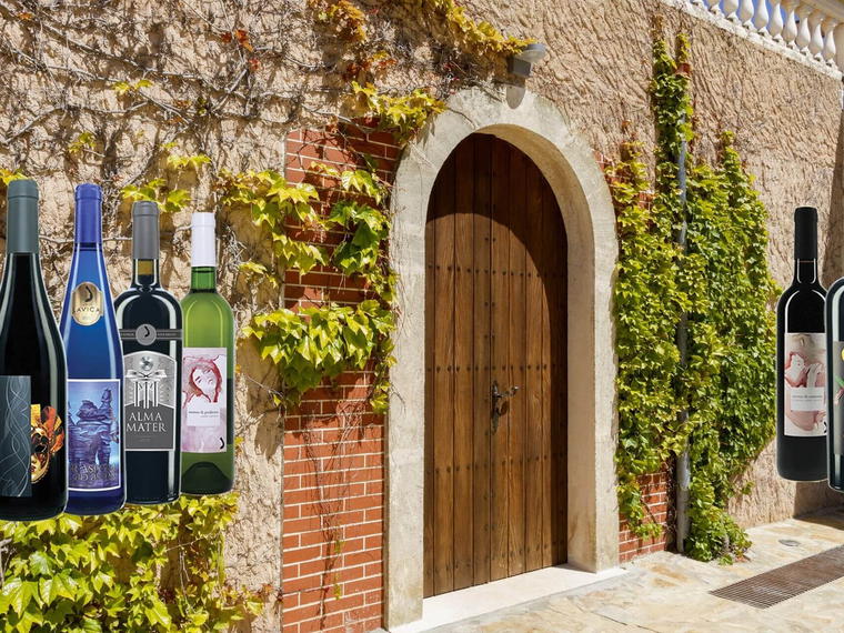 Bodega Jardi Lavica, Binissalem, Spain