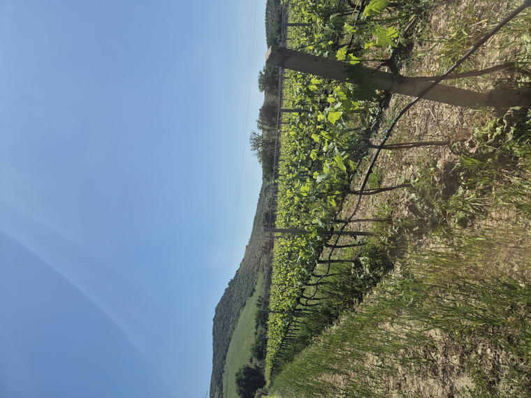 Ceraudo, Strongoli, Italy