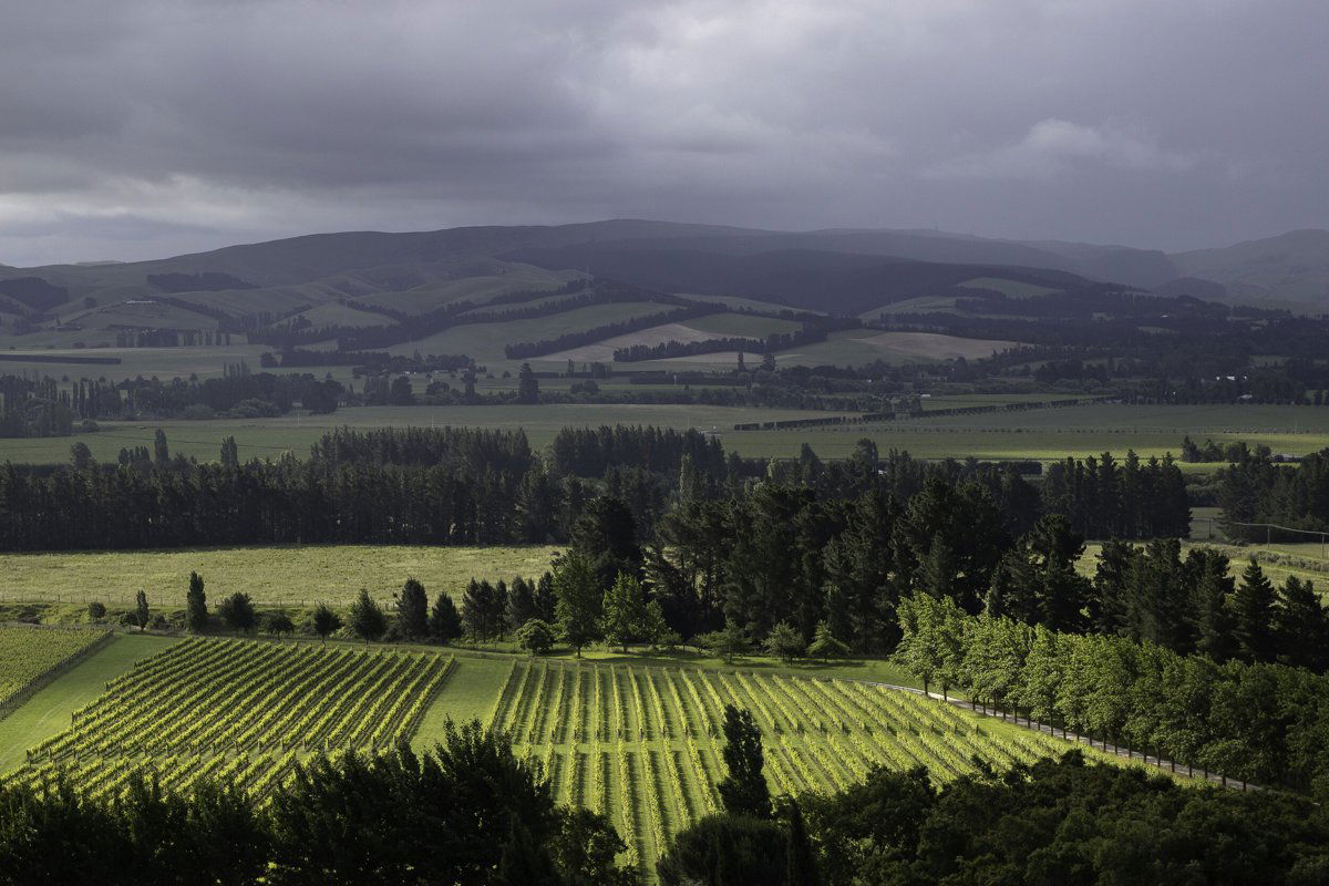 Mountford Estate, Winery in Waipara