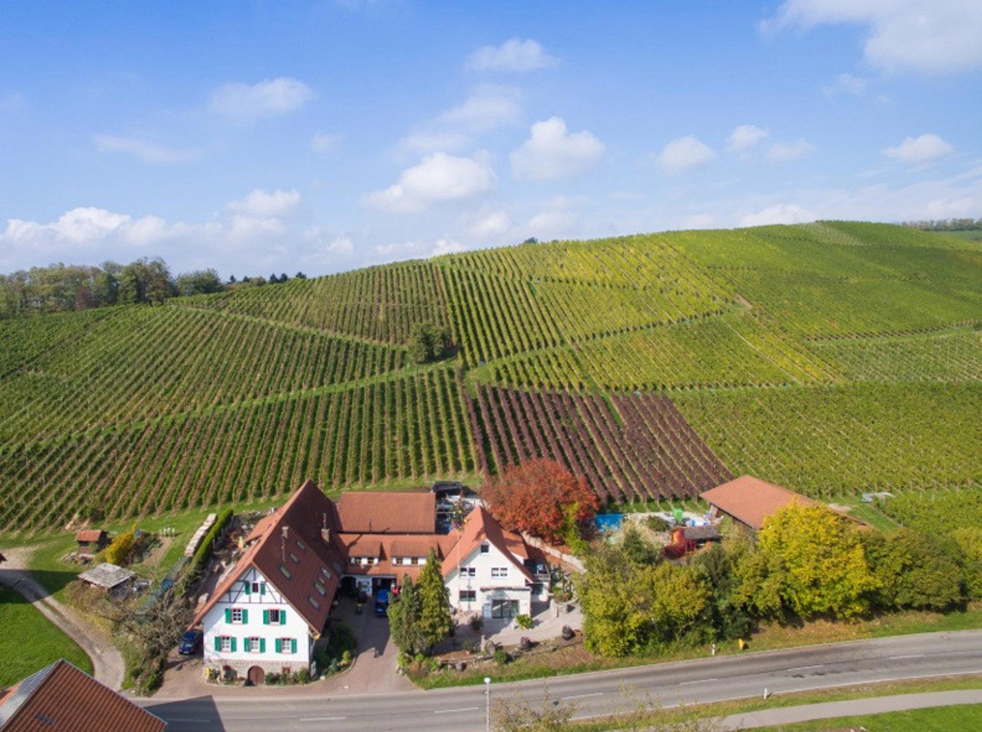 Weingut Börsig winery in Oberkirch