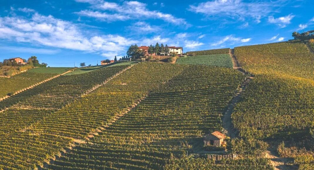 Cascina Galletto, Winery in Santo Stefano Belbo