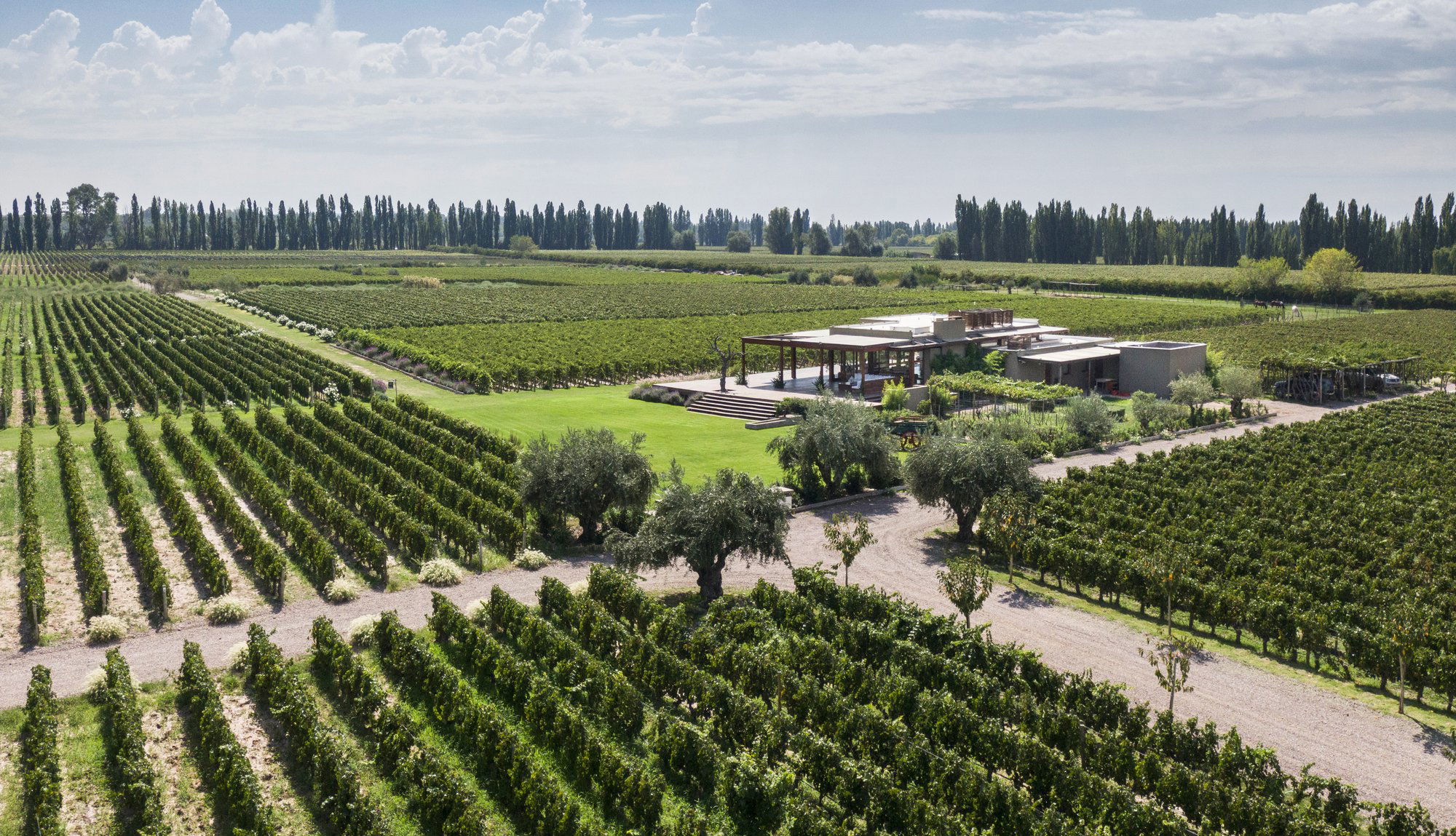 Cheval des Andes (Cheval Blanc & Terrazas de los Andes), Winery in Luján de Cuyo