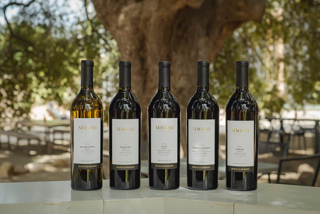Bodegas Magoni