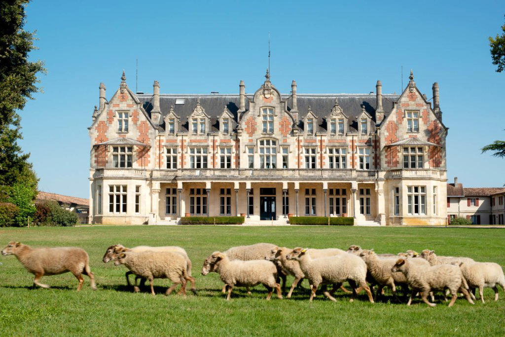 Château Cantegril winery in Barsac, France