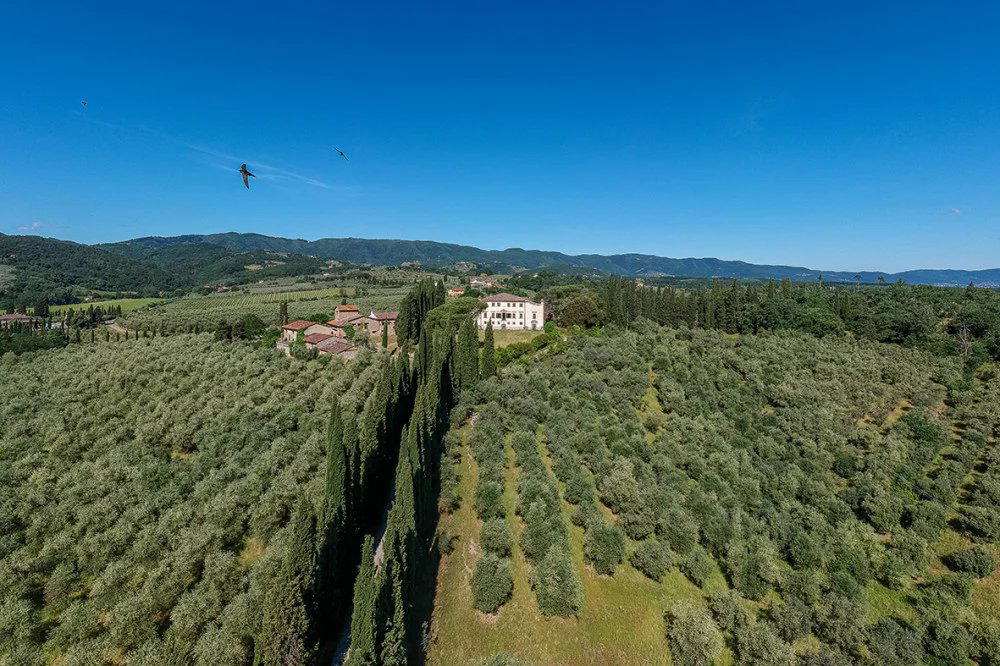 Tenuta San Jacopo winery in Cavriglia