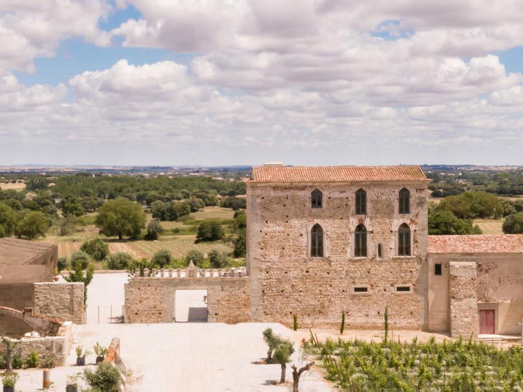 António Maçanita, Covas do Douro, Portugal