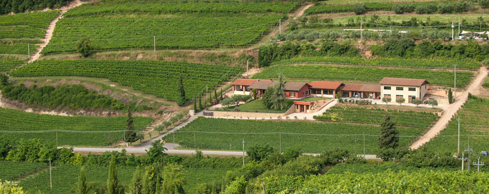 Cavedini, Winery in San Martino Buon Albergo