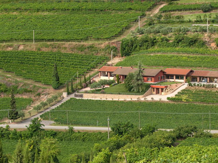 Cavedini, San Martino Buon Albergo, Italy