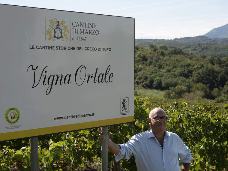 Cantine di Marzo, Tufo, Italy