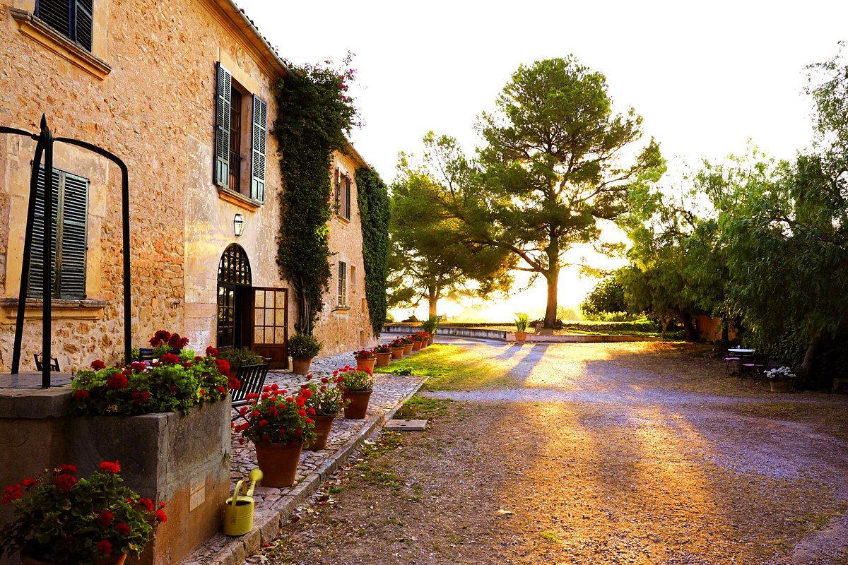 Bodegas Oliver Moragues winery in Algaida