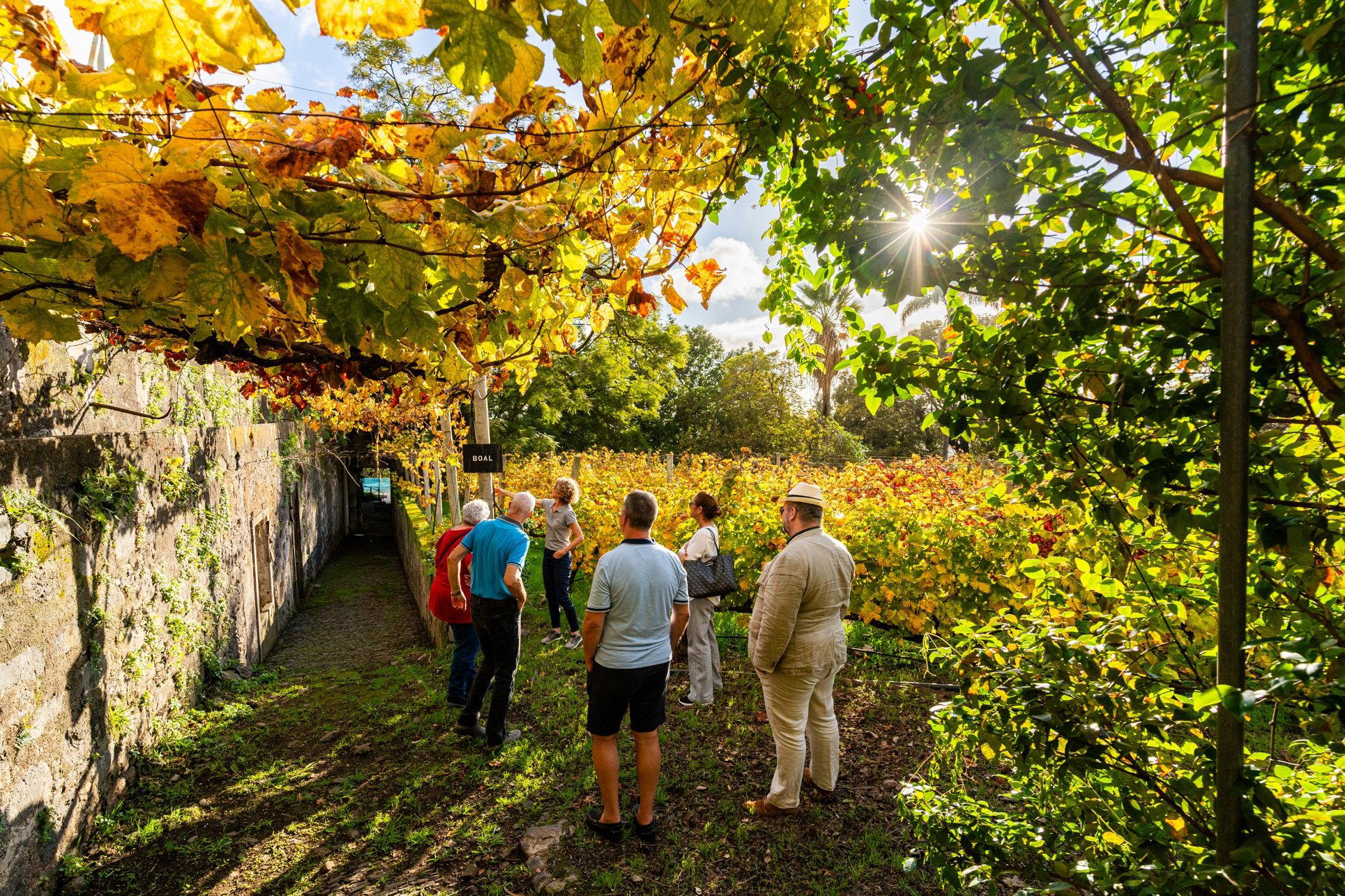 Blandy's winery in Funchal