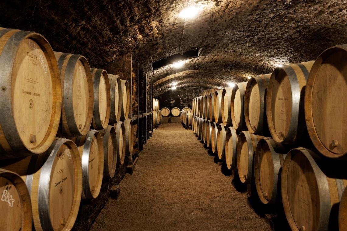 Domaine Lejeune, Pommard, France