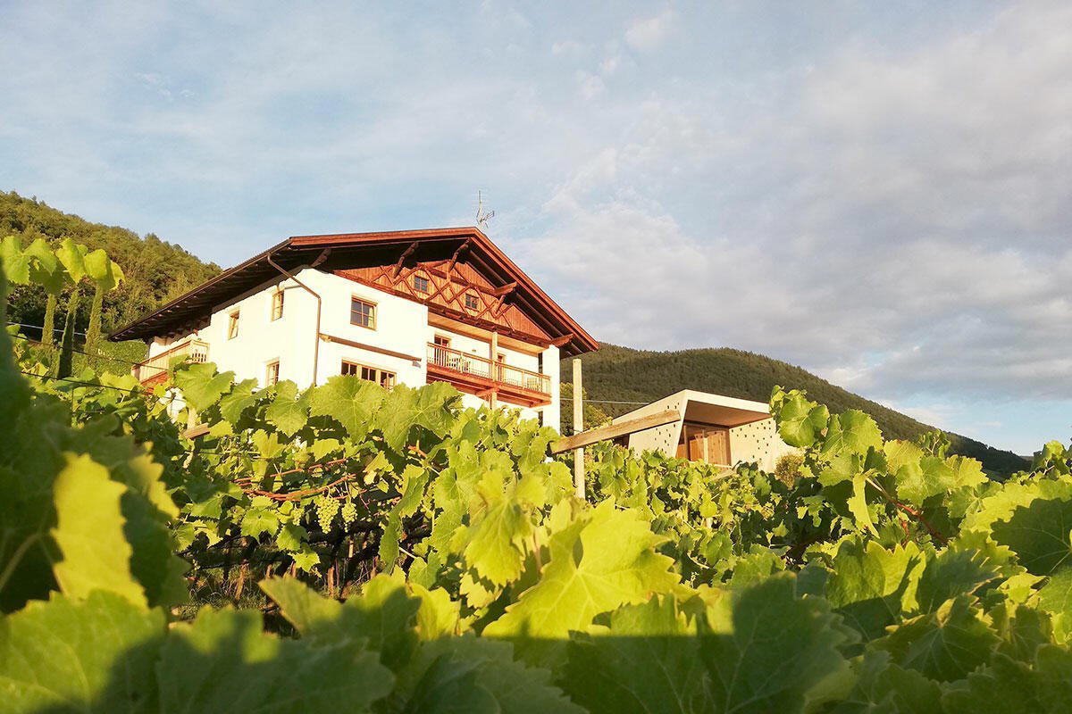 Franz Gojer - Glögglhof winery in Karneid