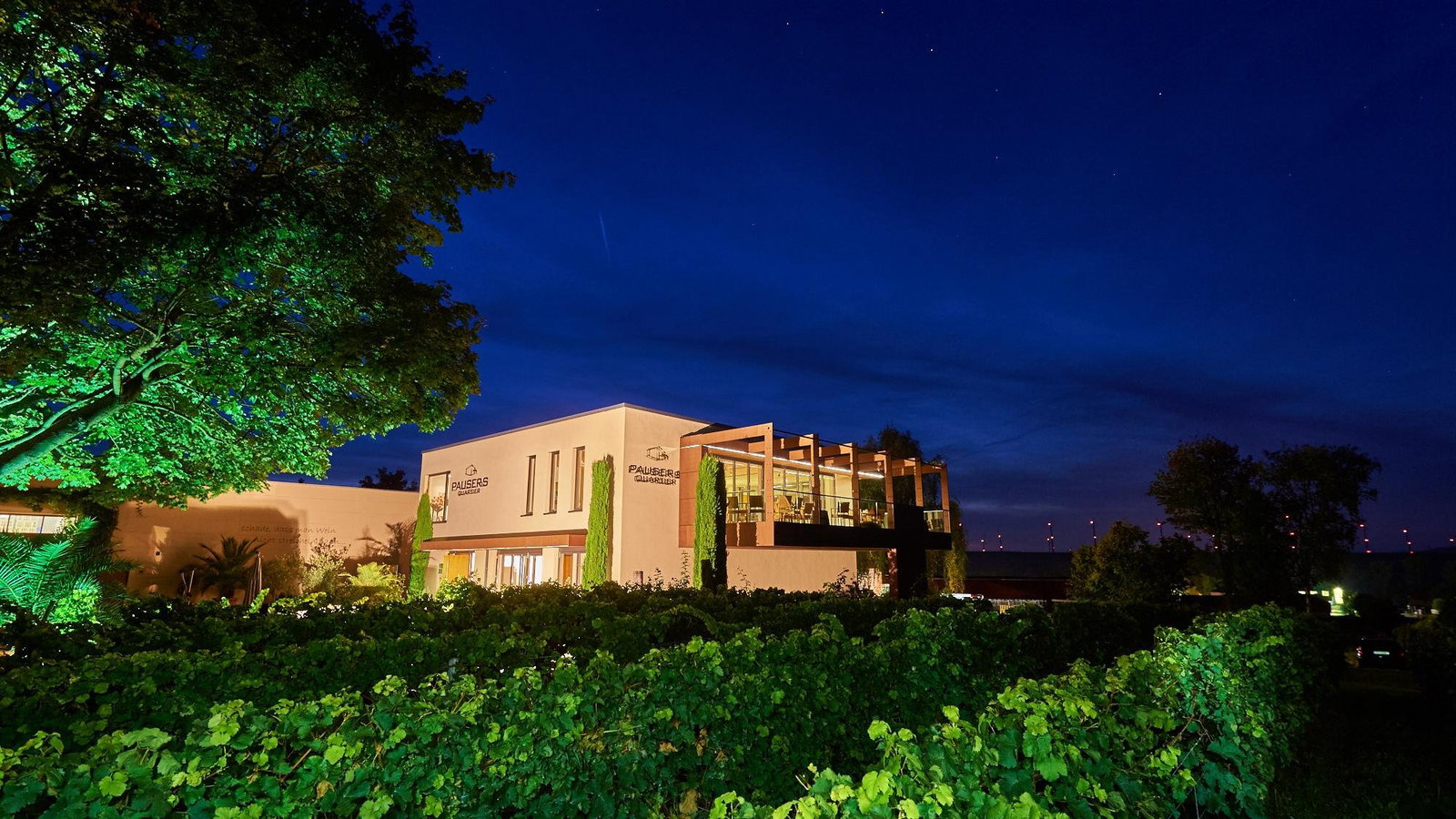 BioWeingut Gänz, Hackenheim, Germany