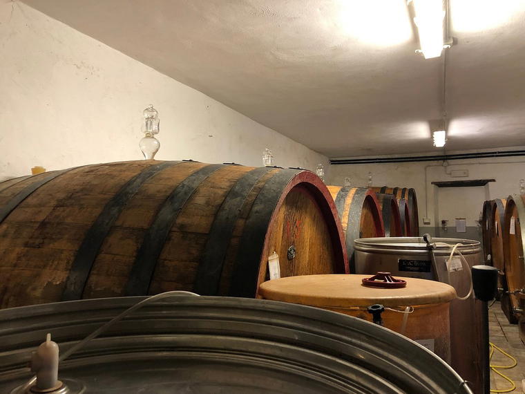 Bolsignano, Montalcino, Italy