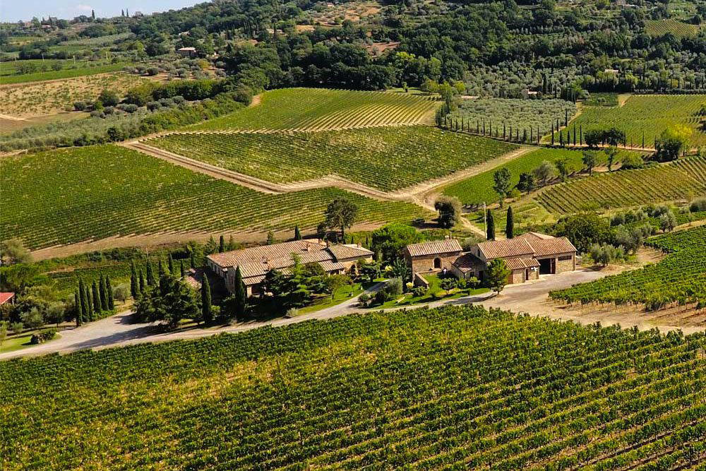 Capanna winery in Montalcino, Italy
