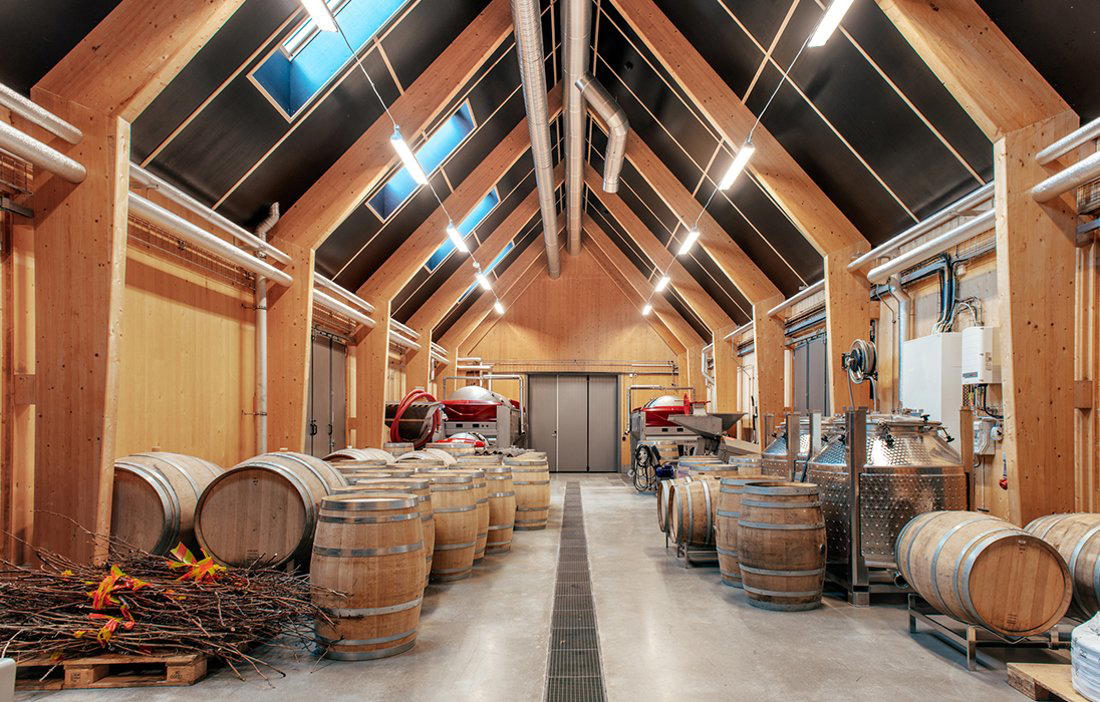 Kullabergs Vingard winery in Hoganas