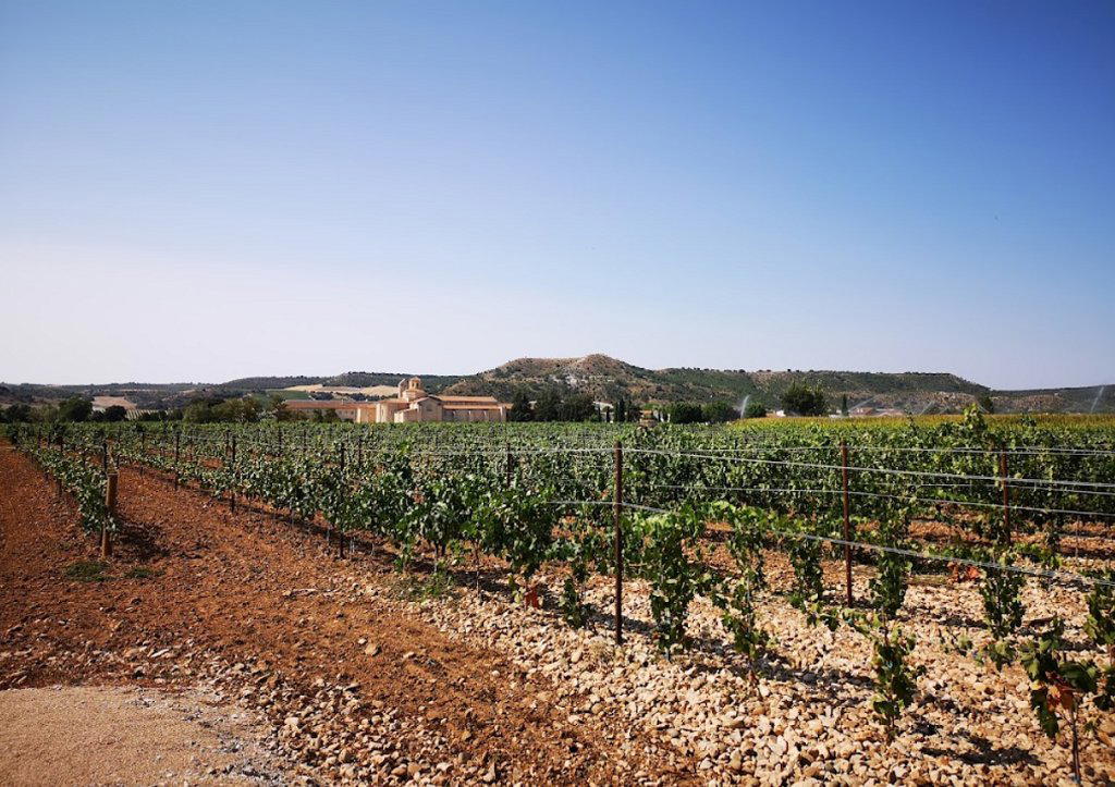 Bodegas Baden Numen winery in San Bernardo, Spain