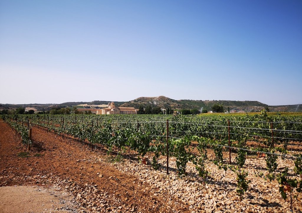 Bodegas Baden Numen, San Bernardo, Spain