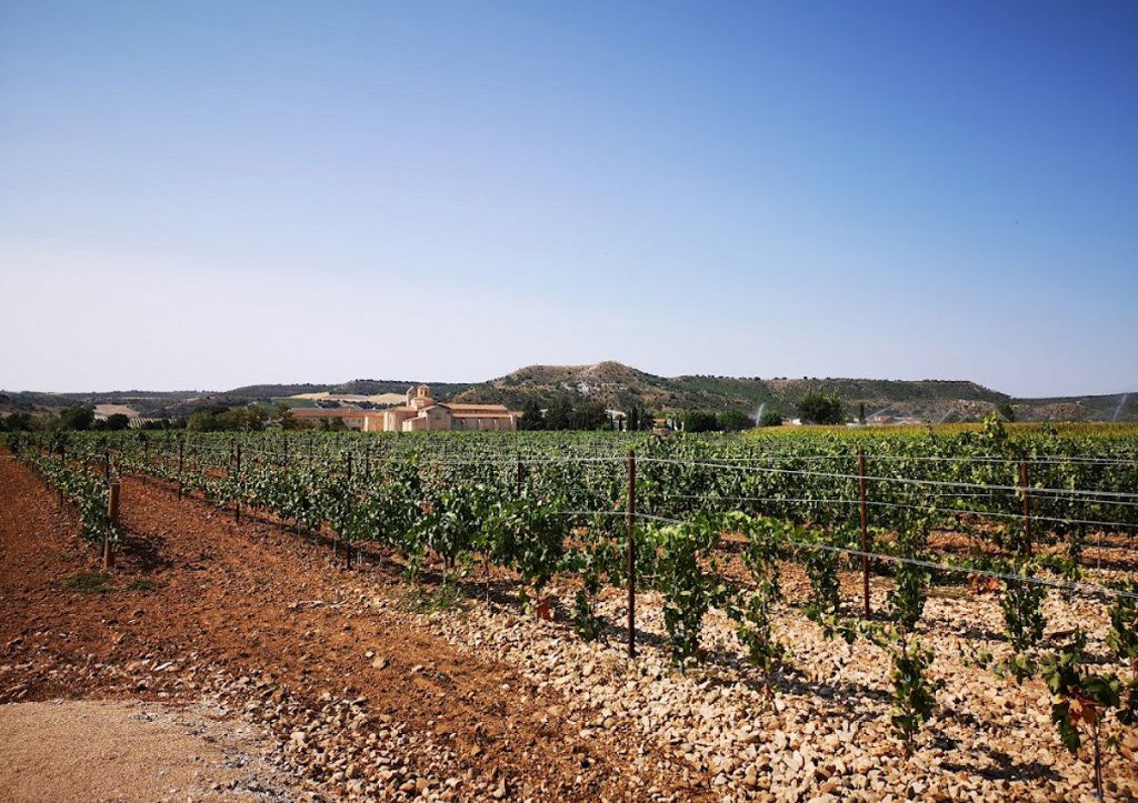 Bodegas Baden Numen, Winery in San Bernardo