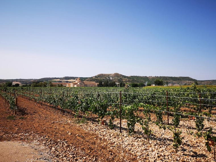 Bodegas Baden Numen, San Bernardo, Spain