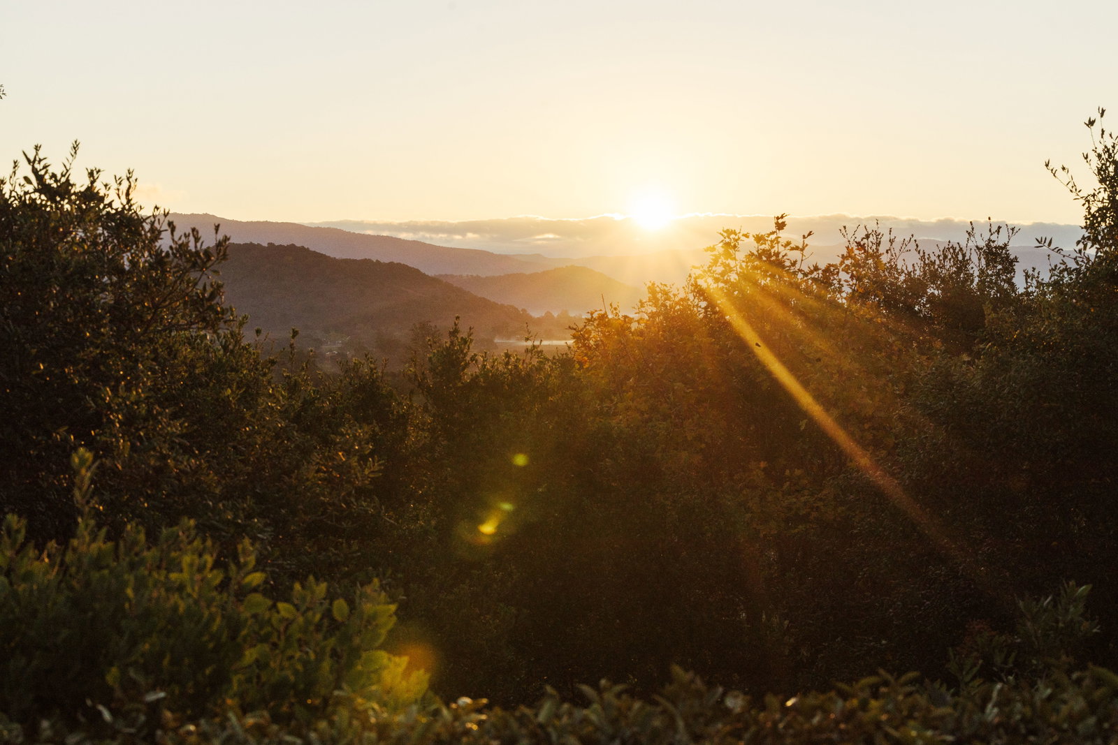 Sunrise breaking over the Oakville hills during The Mascot Dawn Patrol