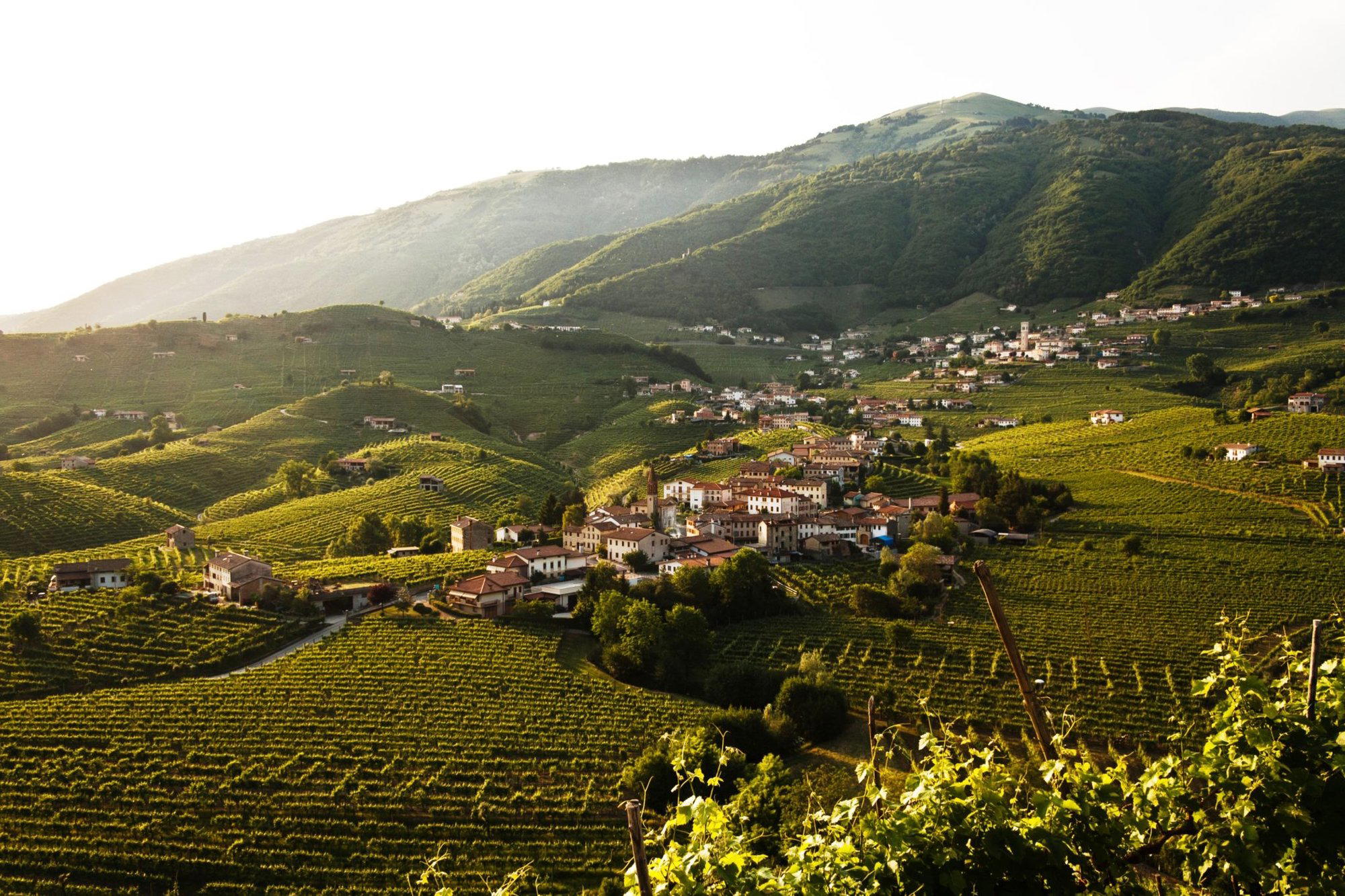 Bisol1542 winery in Valdobbiadene