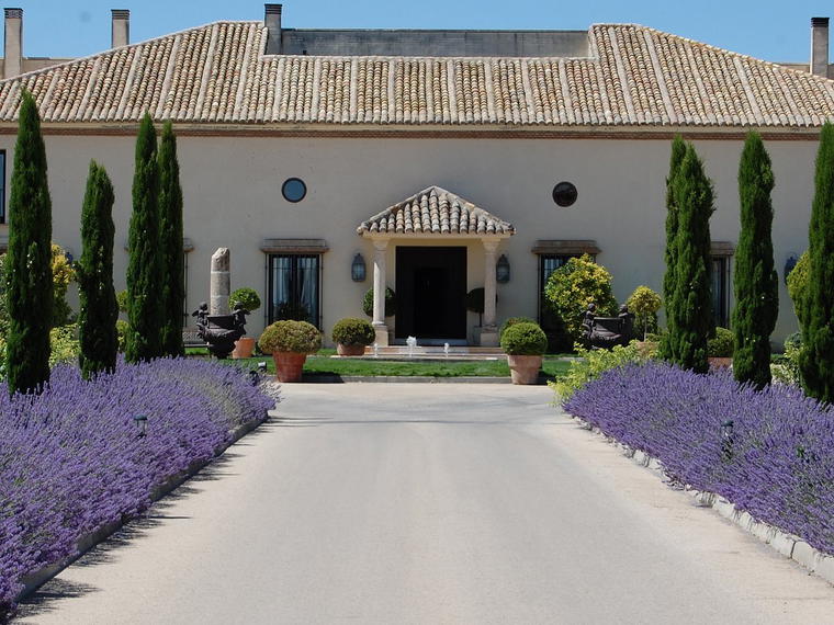 Bodegas y Viñedos Martuela, Guardia, Spain