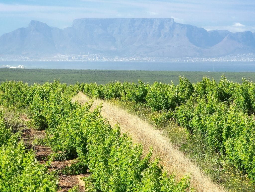 Darling Cellars, Darling, South Africa