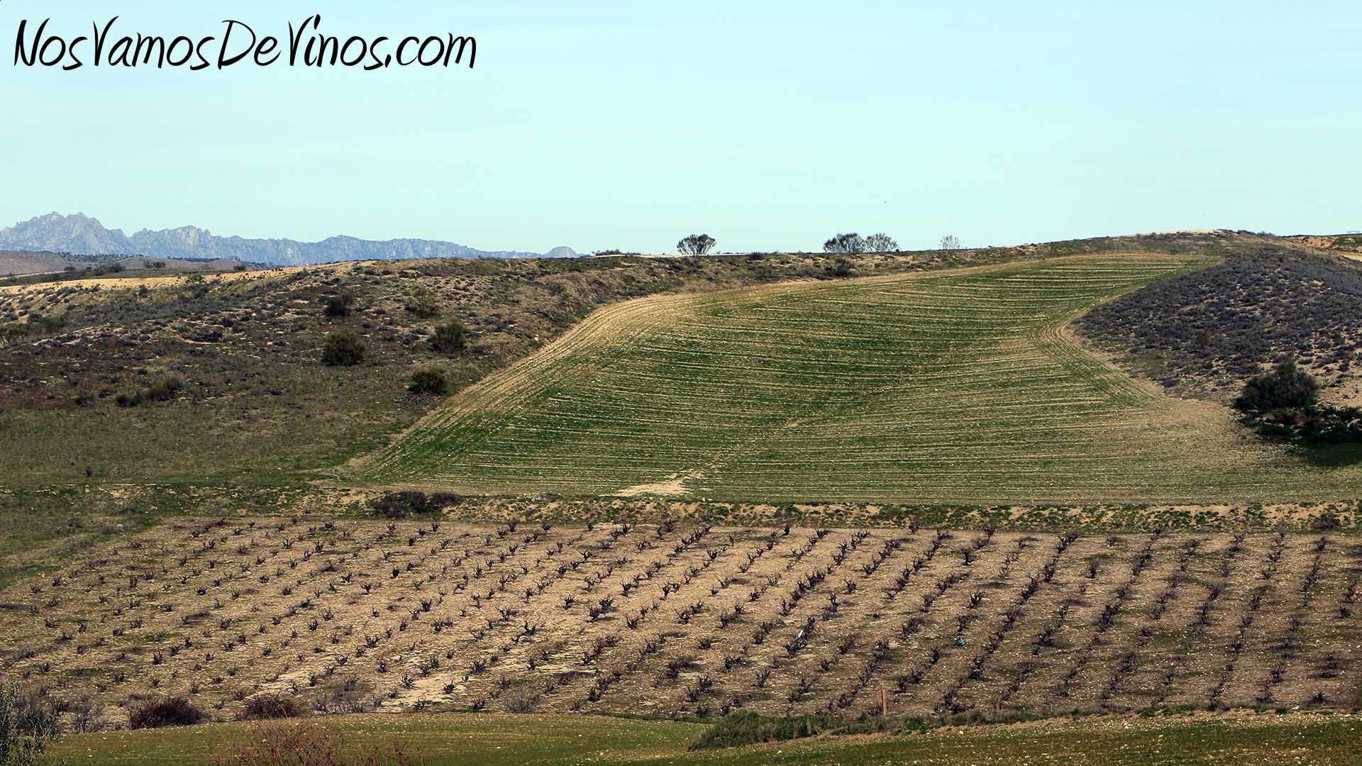 Bodegas Trus, Pinel De Abajo, Spain