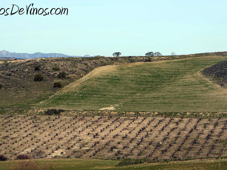 Bodegas Trus, Pinel De Abajo, Spain