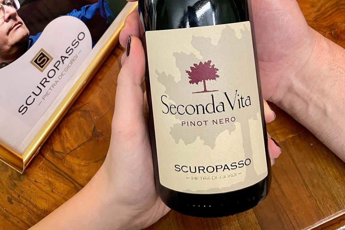 Cantina Scuropasso, Winery in Pietra De Giorgi
