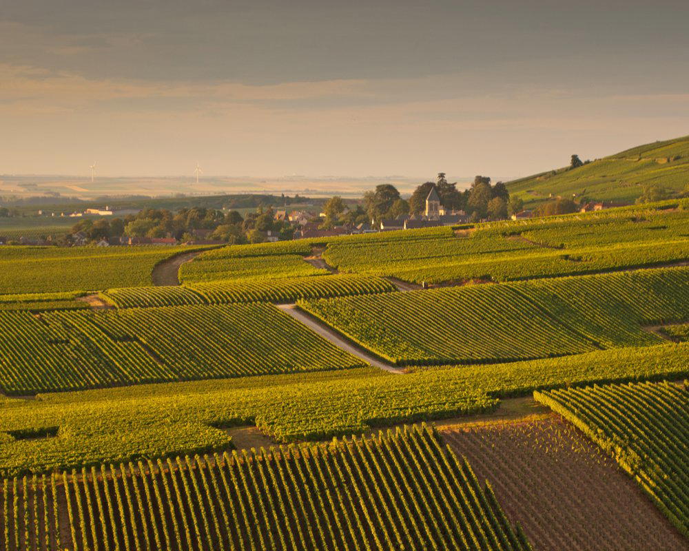 Champagne Jean Pernet winery in Le Mesnil-sur-Oger