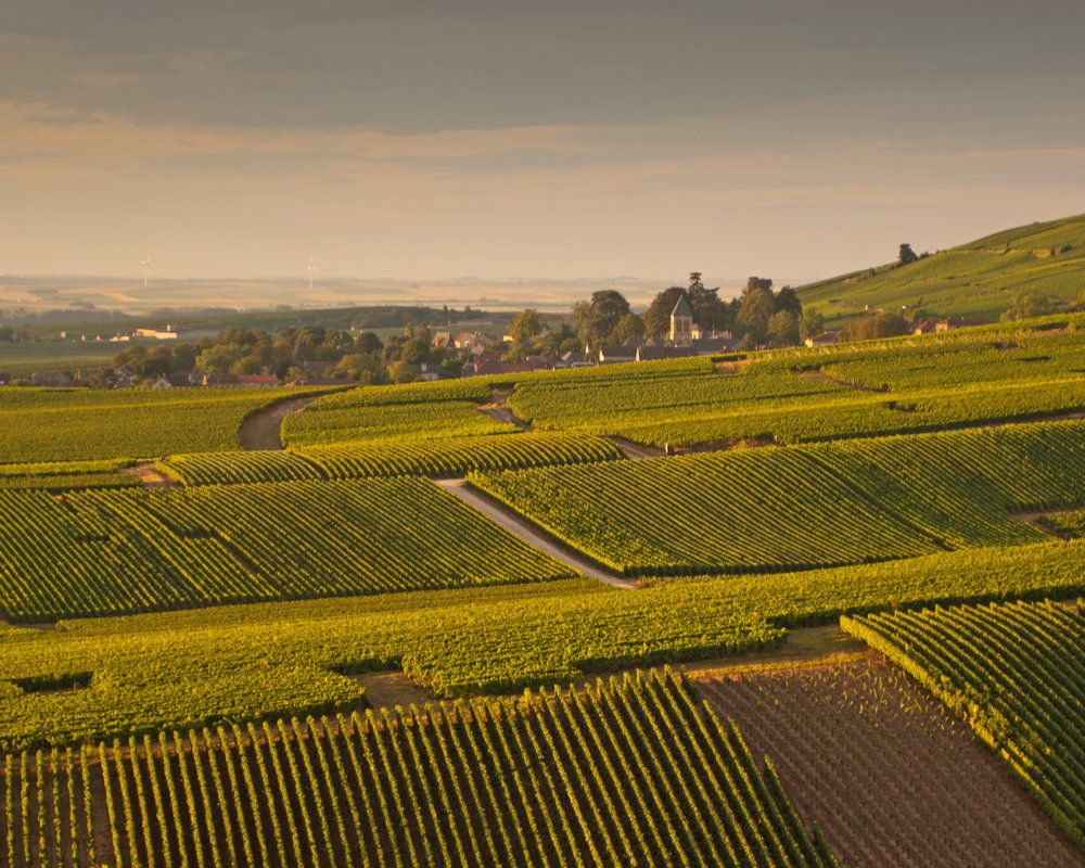 Champagne Jean Pernet, Winery in Le Mesnil-sur-Oger