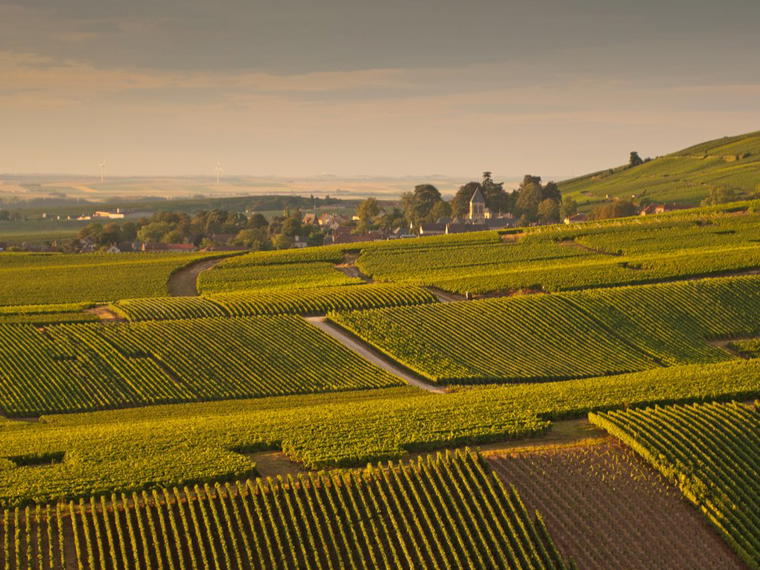 Champagne Jean Pernet, Le Mesnil-sur-Oger, France