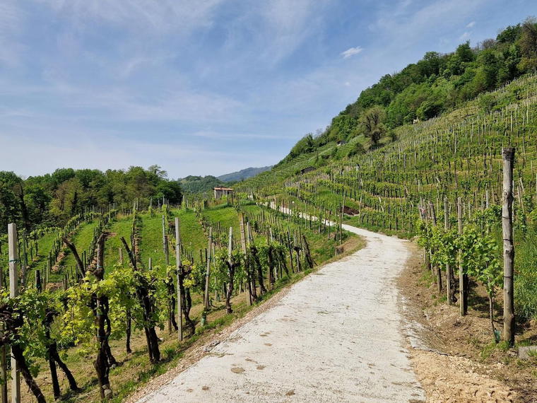 C. C. Soligo, Pieve Di Soligo, Italy