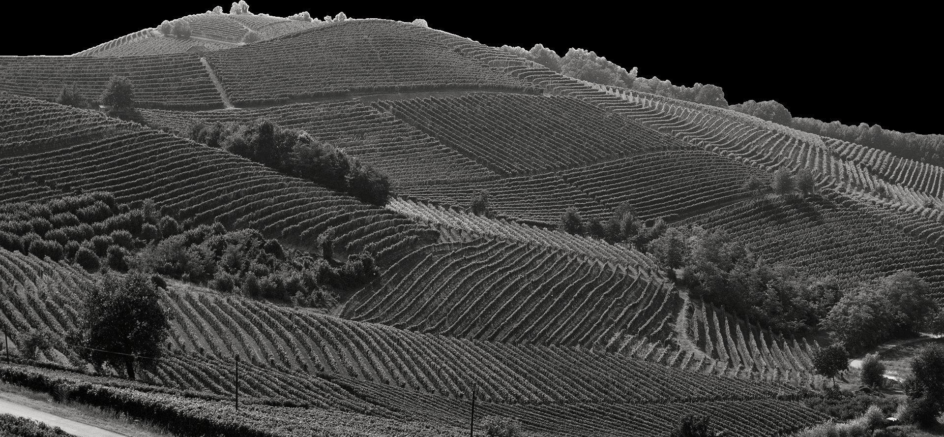 Moccagatta winery in Barbaresco, Italy