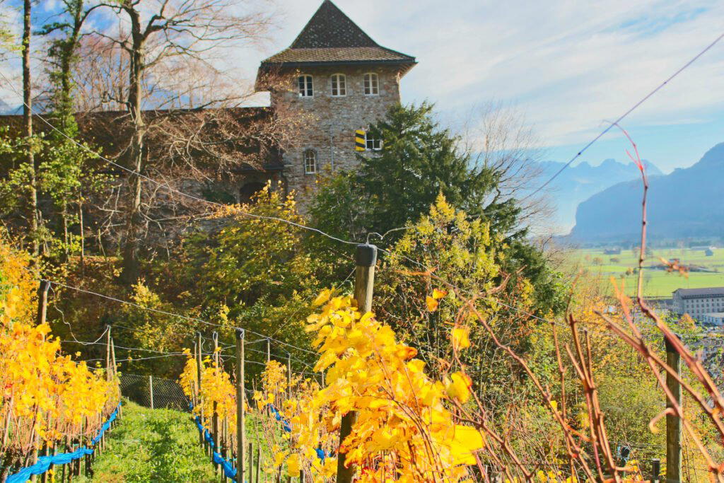 Violetti Weine winery in Niederurnen