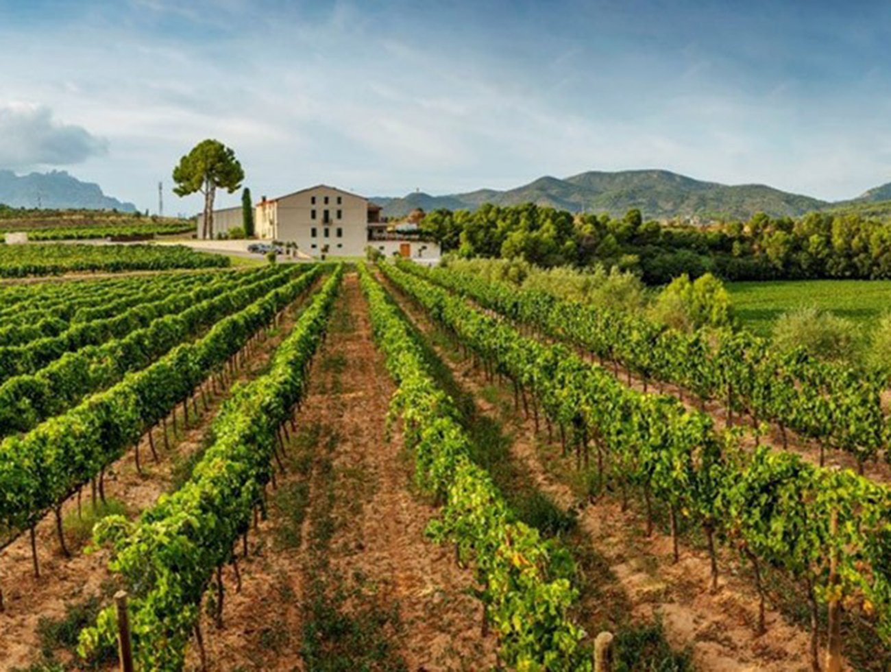 Ca N'Estruc, Esparreguera, Spain
