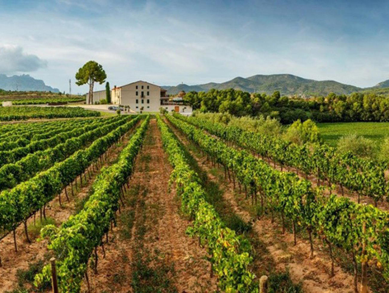 Ca N'Estruc winery in Esparreguera