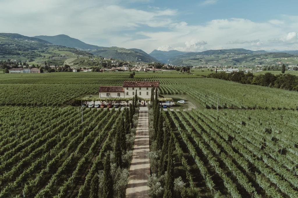 Azienda Agricola Monte Faustino