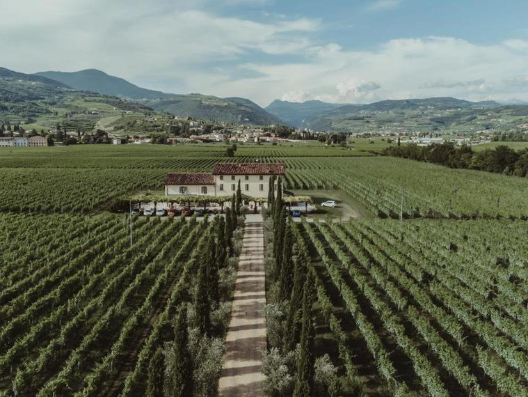Azienda Agricola Monte Faustino, San Pietro In Cariano, Italy