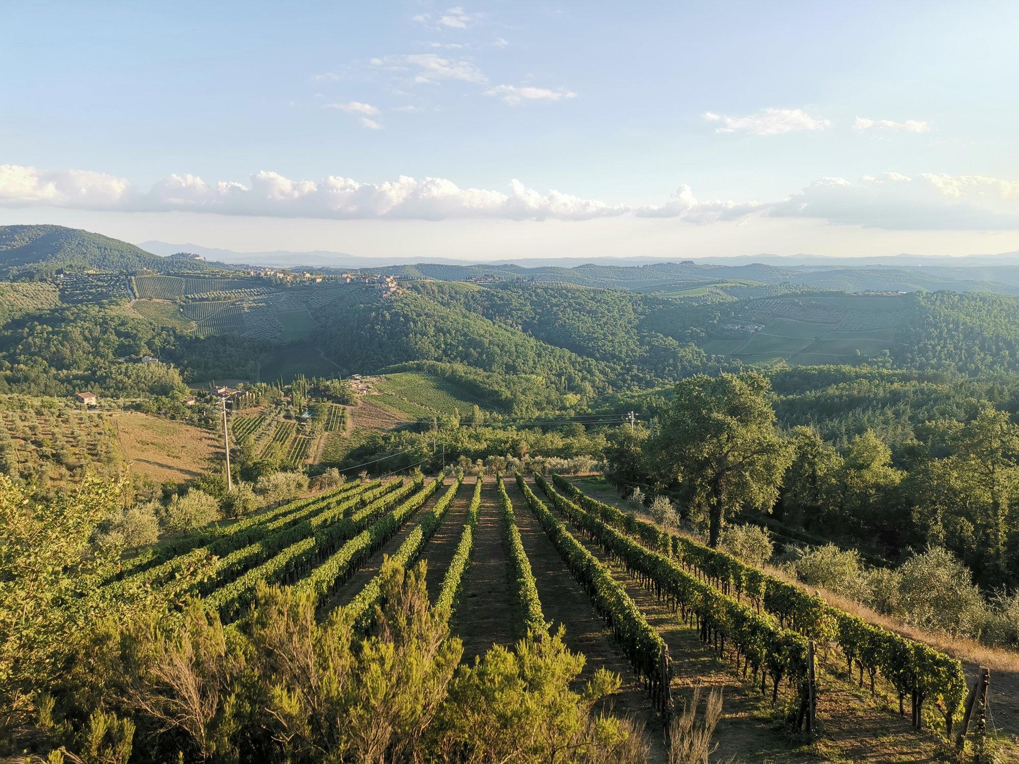 La Casa di Bricciano winery in Gaiole in Chianti