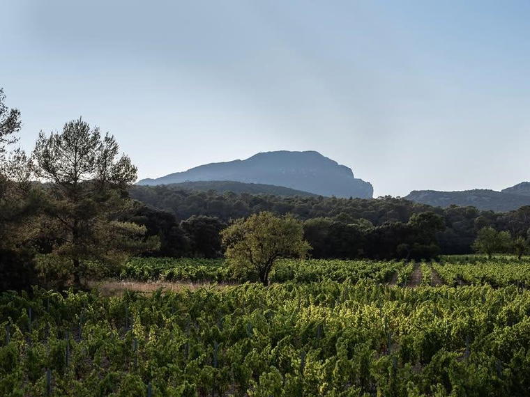 Domaine Clavel, Assas, France