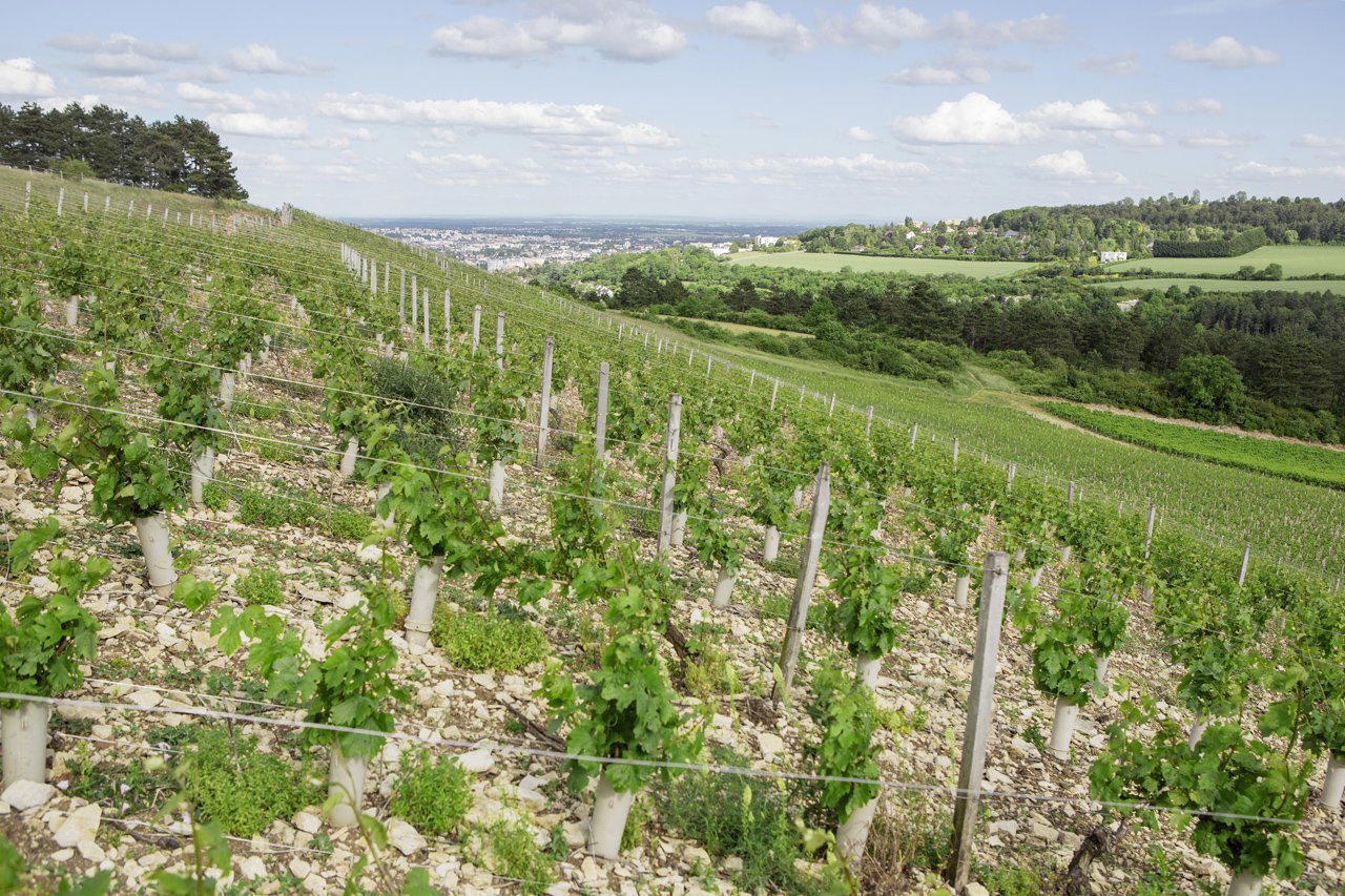 Domaine de la Cras, Plombieres Les Dijon, France