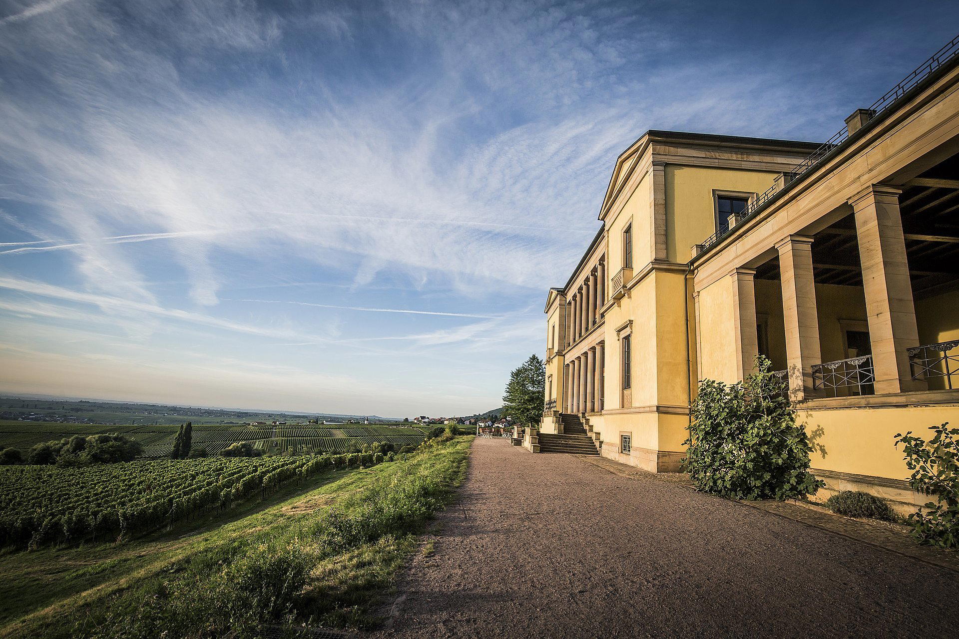 Weingut Grimm winery in Schweigen-Rechtenbach