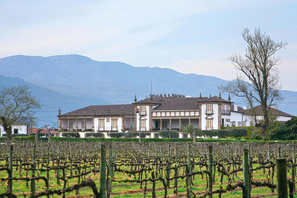 Adega Cooperativa de Ponte de Lima winery in Ponte de Lima