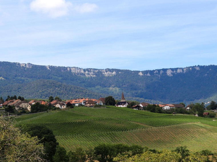 Château de Valeyres, Valeyres Sous Rances, Switzerland