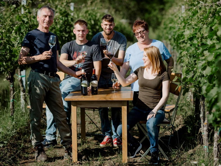 Bio-Weingut HuM Hofer, Auersthal, Austria