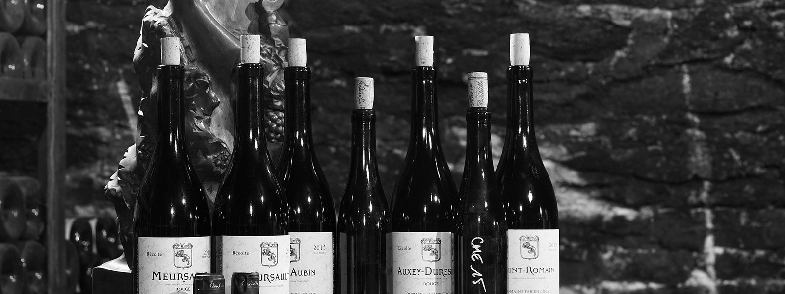 Domaine Fabien Coche
